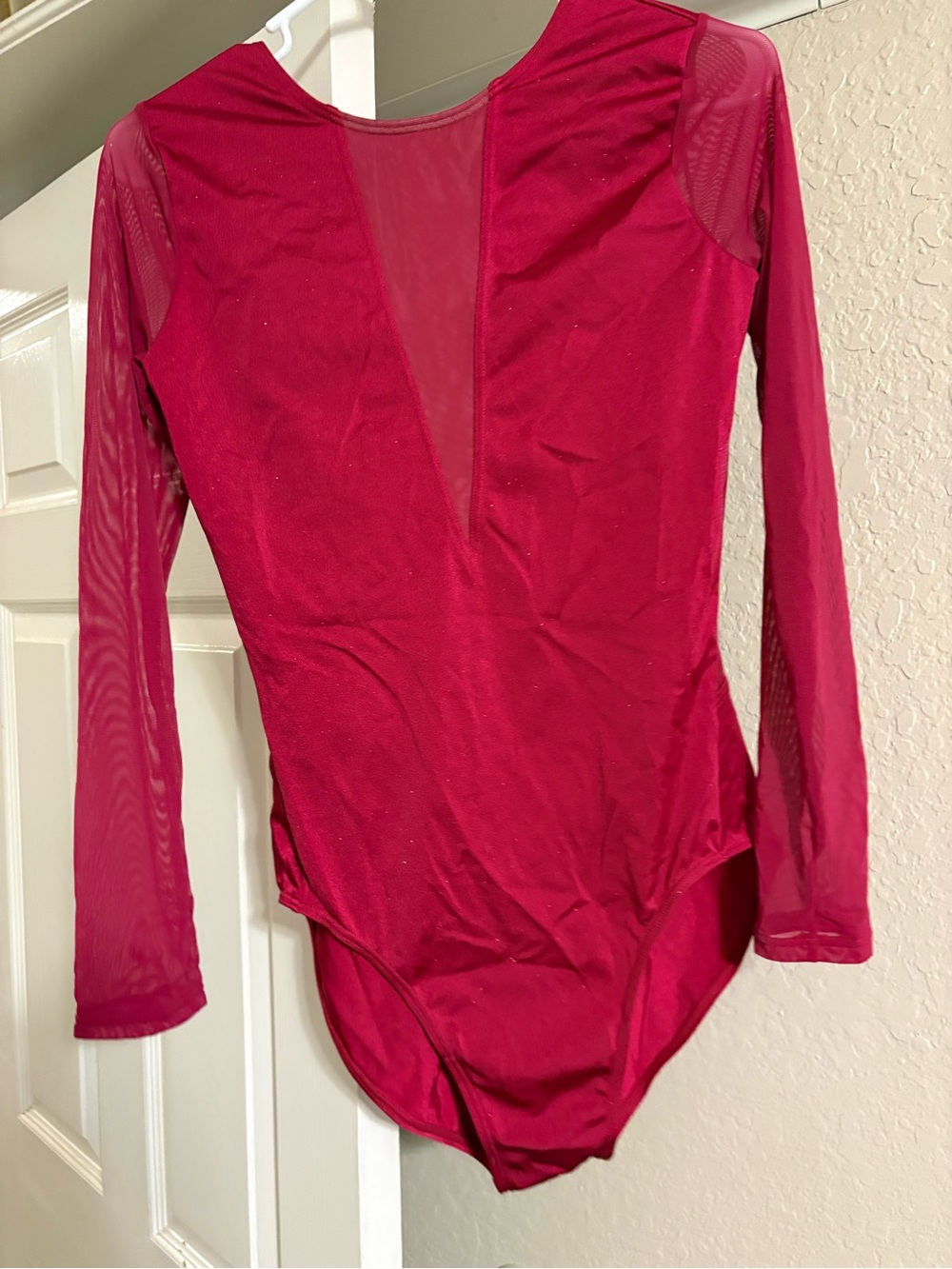 balera Long-Sleeve Deep V Mesh Bodysuit in Burgundy